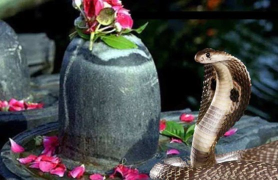 Naag Panchami Ki Kahani || Nag Panchami 2020 || Naaga Pooja || Naag Panchami Katha