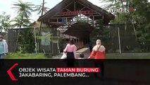 Wisata Sambil Belajar di Taman Burung Jakabaring Palembang