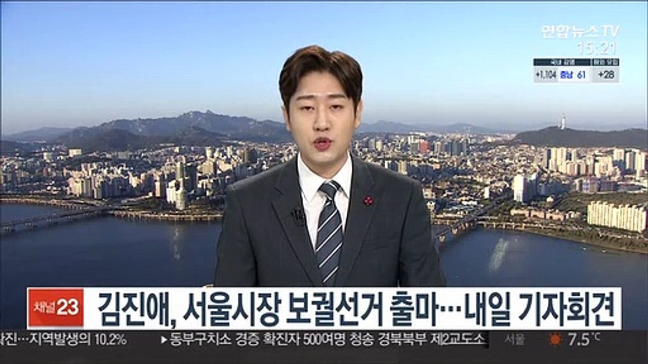 김진애, 서울시장 보궐선거 출마…내일 기자회견