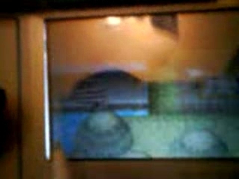 The legend of zelda : Phantom Hourglass