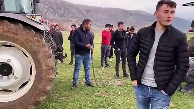 New Holland TL100 ile Hattat 4110 Traktör Çekişmesi