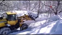Beytüşşebap’ta karla mücadele çalışmaları devam ediyor