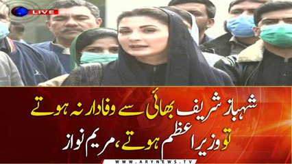 Shahbaz Sharif is loyal to his brother: Maryam Nawaz