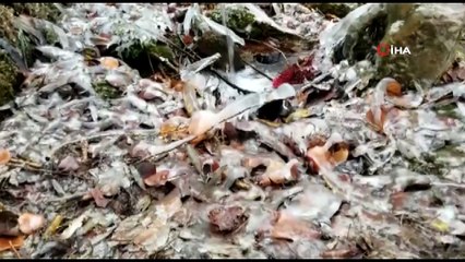 Doğu Anadolu buz kesti