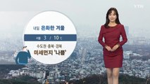 [날씨] 내일 온화한 겨울...수도권·충북·경북 미세먼지 '나쁨' / YTN