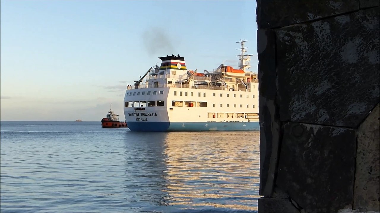 RODRIGUES: arrivée du Mauritius Trochetia