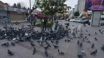 Silivri'de aç kalan güvercinleri polis besledi