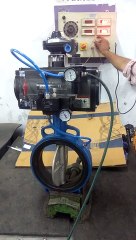 Pneumatic Actuated Inflatable Butterfly Valve