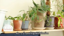 Glade X คน จัด สิ่งของ EP.2 ห้องนั่งเล่นเหม็นอับ กลิ่นสาปสัตว์ก็มี จัดการอย่างไร!?