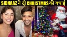 Sidharth Shukla And Shehnaaz Gill WISHES Merry Christmas To Fans
