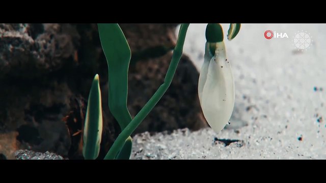 Sarıkamış şehitleri 106. yıl dönümünde kısa filmle anıldı