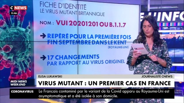 Coronavirus : un premier cas détecté en France du variant britannique (vidéo)