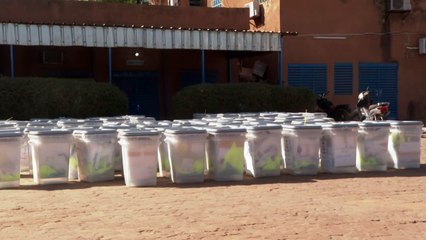 النيجر تستعد لأول انتقال ديموقراطي سلمي للسلطة في تاريخ البلاد