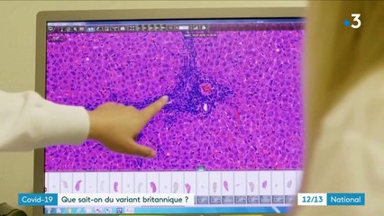 Coronavirus : que sait-on du variant détecté au Royaume-Uni ?