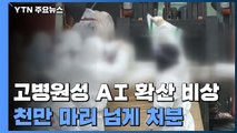 전국 고병원성 AI 확산 비상...천만 마리 넘게 처분 / YTN