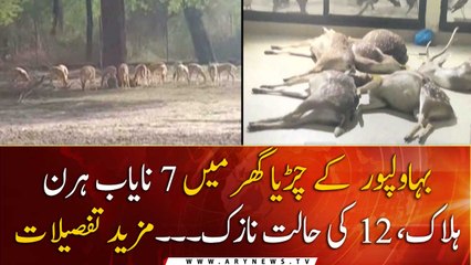 7 Rare Deer Found Dead In Bahawalpur Zoo, 12 others were critical