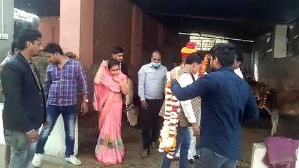 गो सेवा कर मनाया जन्मदिवस