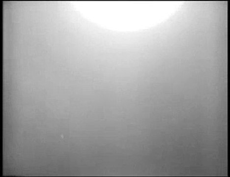 DM Blasphemous Rumors