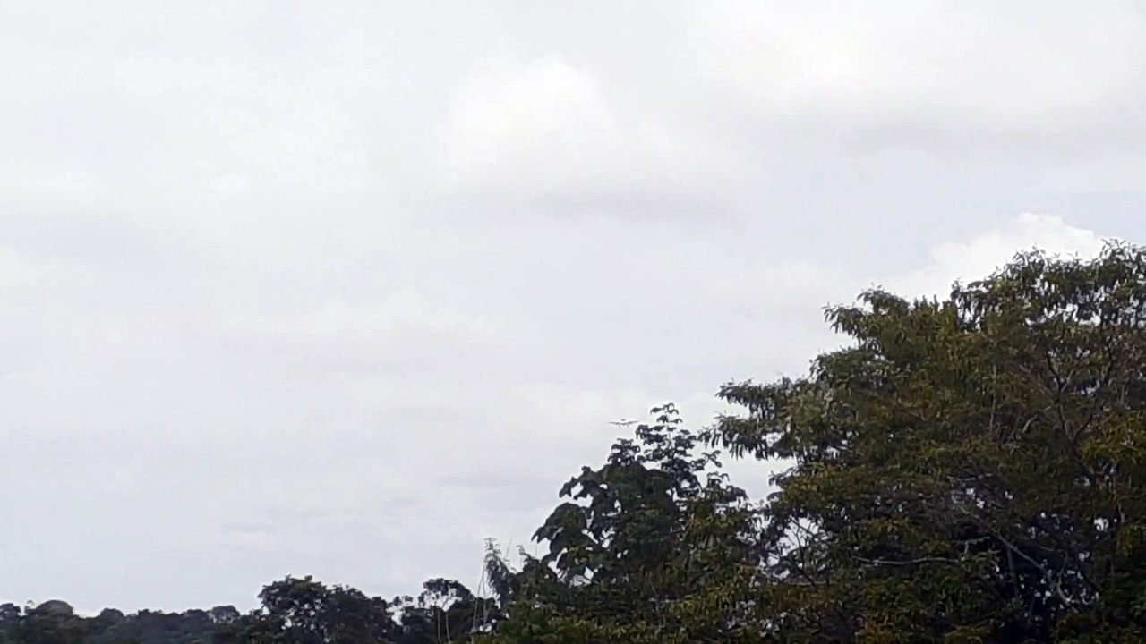 Airbus A330 PR-AIU na final antes de pousar em Manaus vindo de Campinas