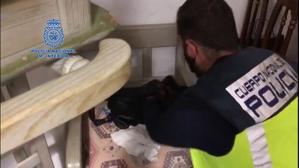 Desarticulada una red en Málaga y Granada dedicada a enviar droga a Italia