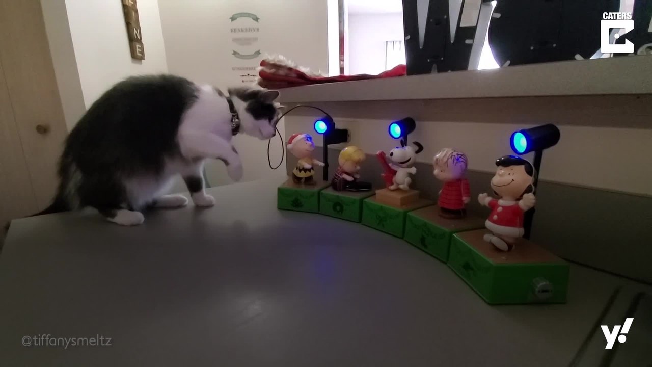 Katze hat genug von Weihnachten