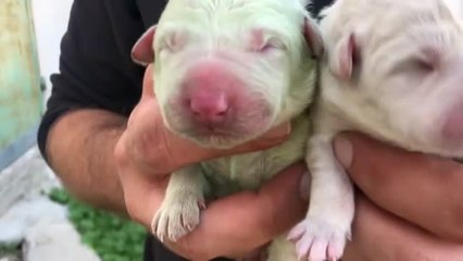 Apurando 2020, un año marcado por las ganas de superar la pandemia