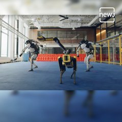Boston Robots Show Off Their Truly Impressive Dance Skills