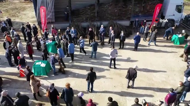 330 aileye 27 bin ceviz fidanı dağıtıldı