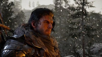 Crimson Desert: MMO or RPG?