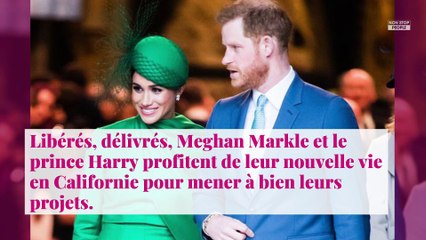 Meghan Markle et Harry : ce petit détail d'Archie qui va énerver les Anglais