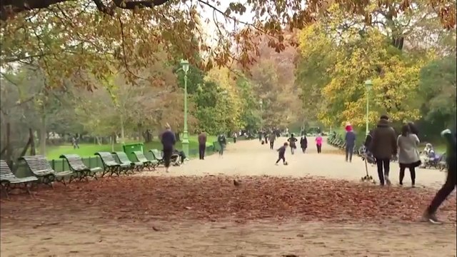 Впереди Европы всей: в Германии и Венгрии началась вакцинация