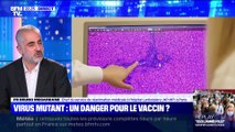 Virus mutant: un danger pour le vaccin ? - 26/12