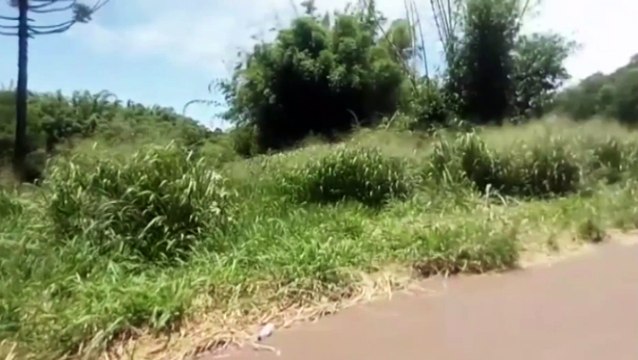 Mato alto gera reclamação e medo em moradores no Alvorada