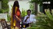 Shehrnaz | Episode 04 | Ayeza Khan | Aly Khan | Sajid Hasan | Pakistani Drama | Urdu1 TV Dramas