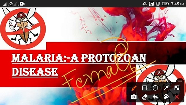 MALARIA PARASITE | MALARIA FEVER |PLASMODIUM | PLASMODIUM SPECIES| CAUSE OF MALARIA | SYMPTOMS AND TREATMENT OF MALARIA FEVER .