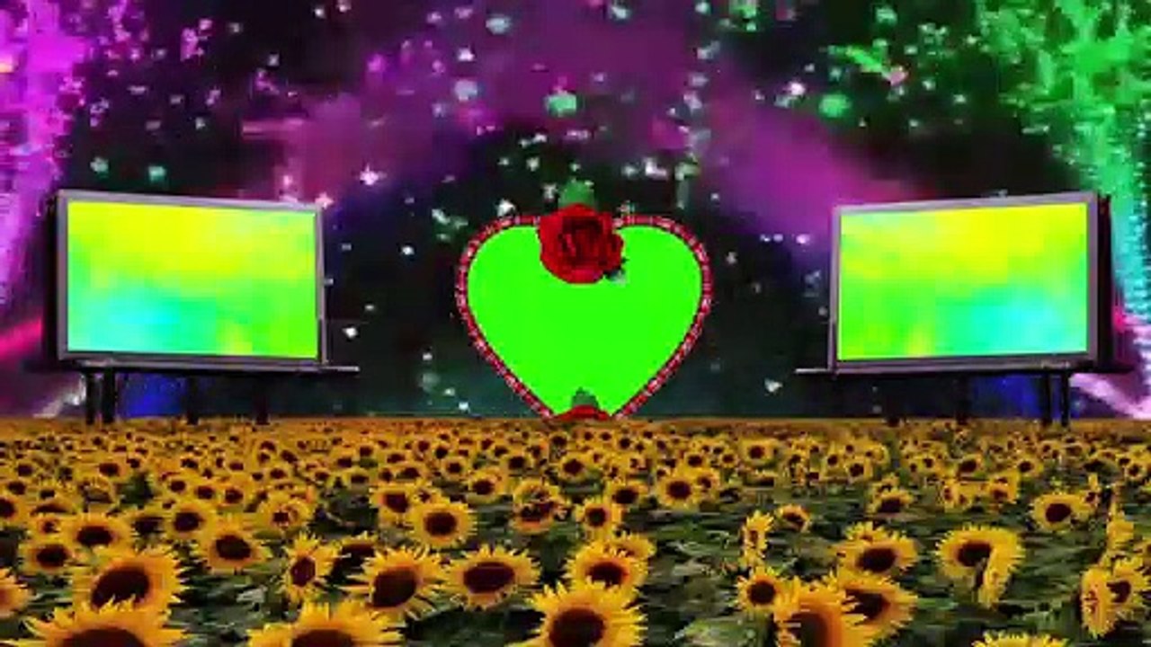 wedding trending green screen background 2021