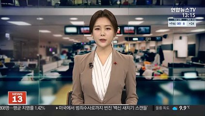김진애, 서울시장 출사표…의원직 사퇴땐 김의겸 승계
