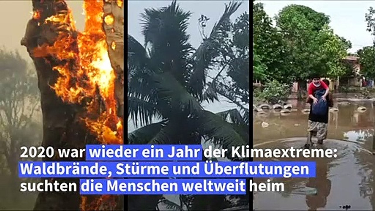 Klimaextreme 2020: Waldbrände, Stürme, Überflutungen