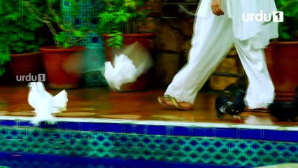 Paimanay - Episode 7 | Urdu1 Drama | Fatima Effandi, Eshal Fayyaz, Asad Siddiqui