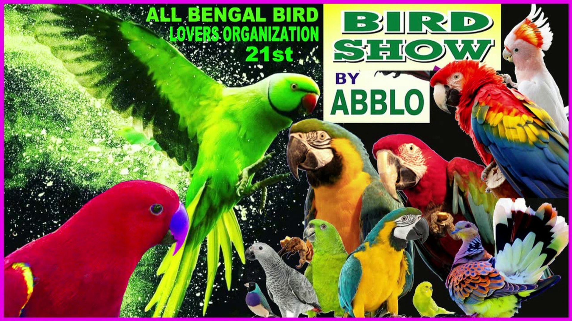 Show shop all birds