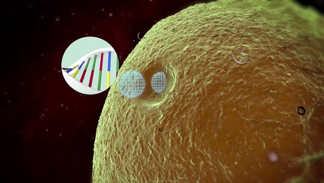 Videografik: So funktionieren mRNA-Impfstoffe