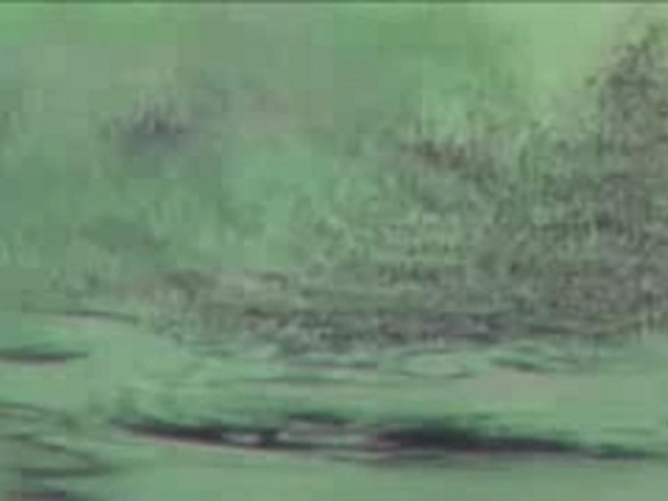 green vortex