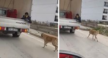 Köpeği kamyonetin arkasında sürükledi
