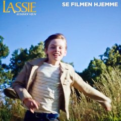 Lassie Kommer Hjem Film  - Køb eller lej filmen nu