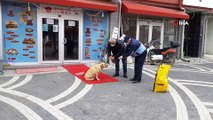 Hisarcık Belediyesi sokak hayvanlarını yalnız bırakmadı