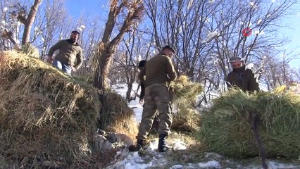Karlı dağlarda zorlu yaşam...Yazın topladıkları samanları kışın köye indiriyorlar