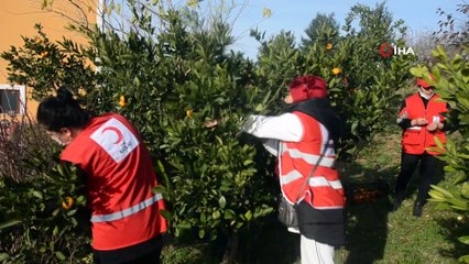 Ordulu şehit ailelerine en anlamlı ikram