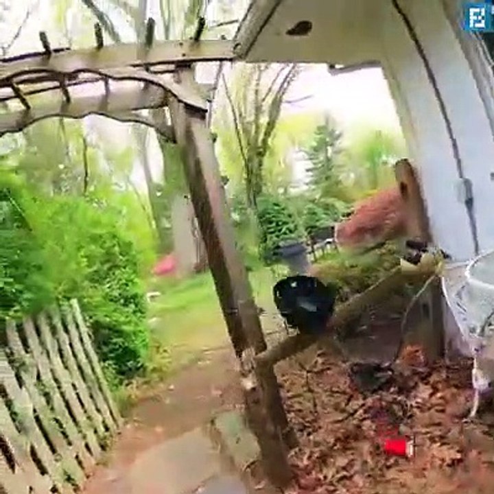 Lockdownlangeweile