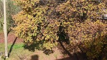 VIDEO 28.mp4