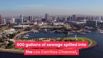 Long Beach closes beaches after 50000 gallons of sewage spill into Los